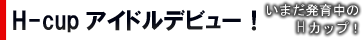 �u�V�lNO.1 STYLE H-cup �A�C�h���f�r���[ �q�������v